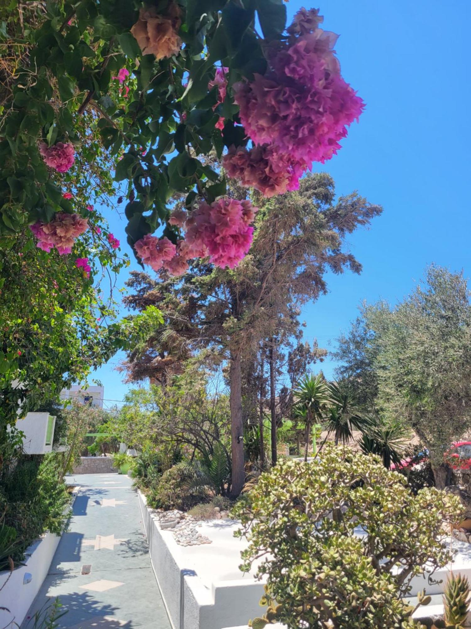 Liogerma Hotel Adamantas  Bagian luar foto